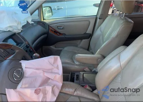 2002 Lexus Rx 300 z USA, uszkodzony, nr VIN JTJHF10U020237226